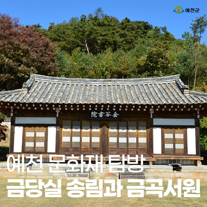 1.예천 금당실 송림과 금곡서원
